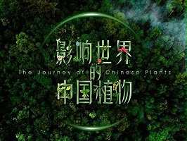 国内首部植物纪录片将于世园会推出！